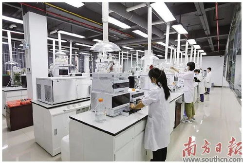 蓬江 以科技創(chuàng)新為引擎，新材料研發(fā)驅(qū)動(dòng)產(chǎn)業(yè)升級