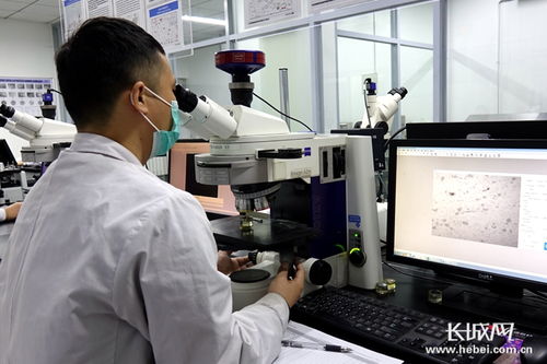 四通新材 防控生產(chǎn)雙驅(qū)動(dòng)，國內(nèi)外訂單全面恢復(fù)，新材料研發(fā)蓄力未來